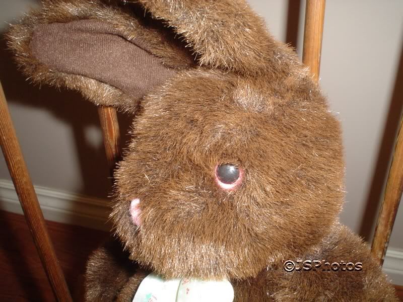 ganz stuffed rabbit